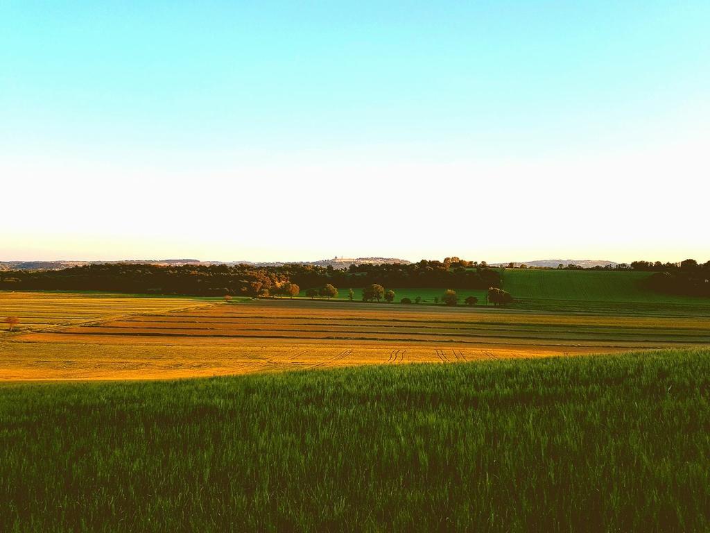 Hornos *